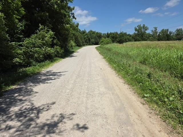 Picture 5