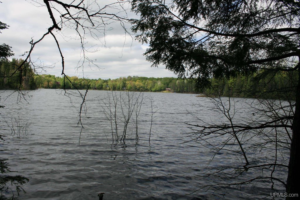 Picture 13