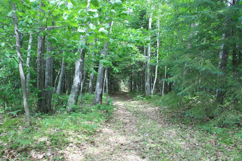 Picture 7