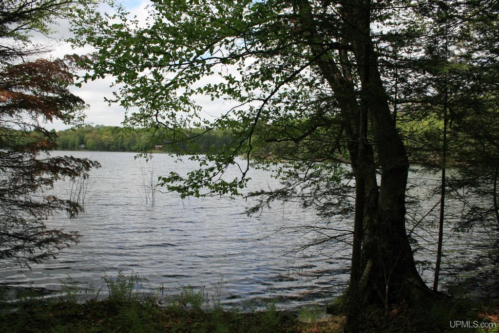 Picture 15