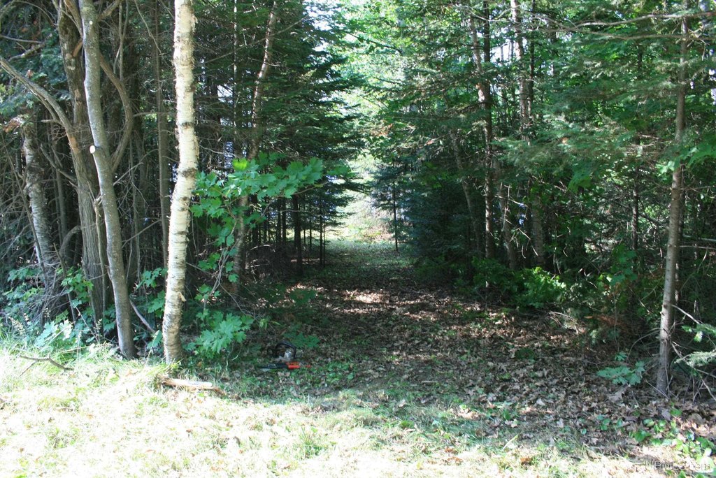 Picture 5