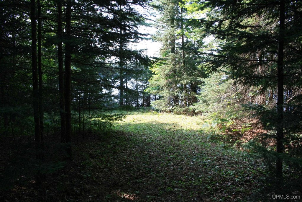 Picture 4