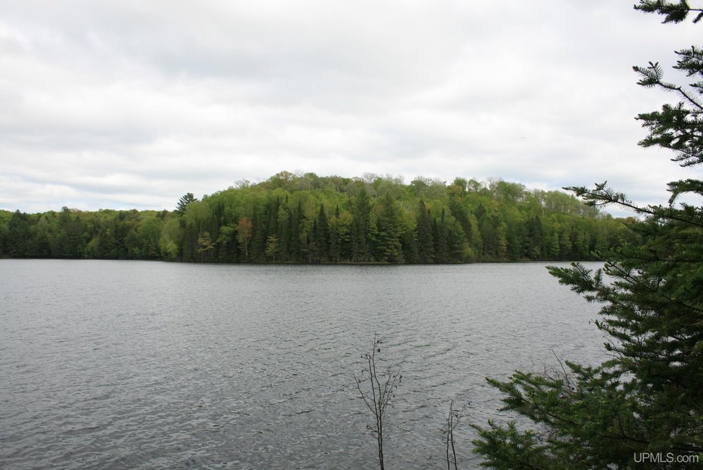 Picture 19