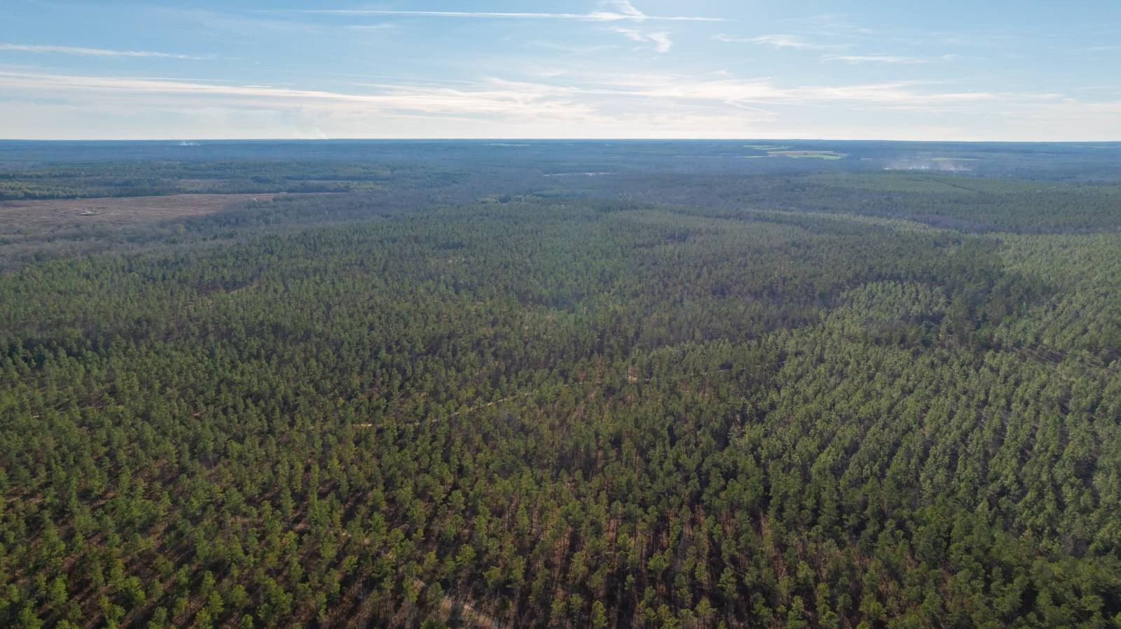 775 Acres of Georgia Timberland