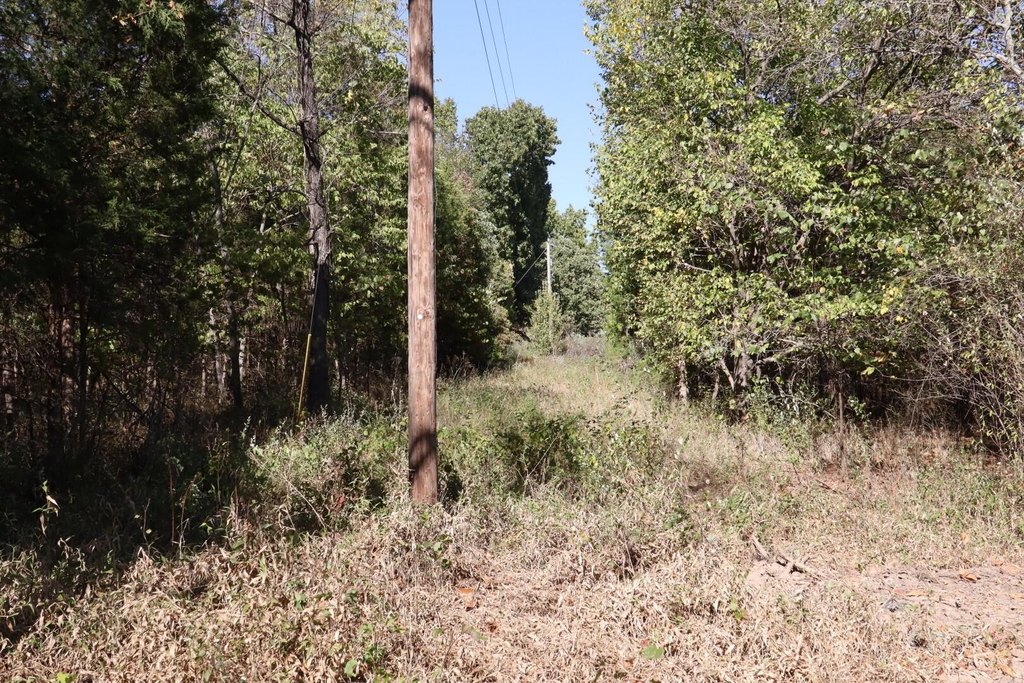 Picture 14