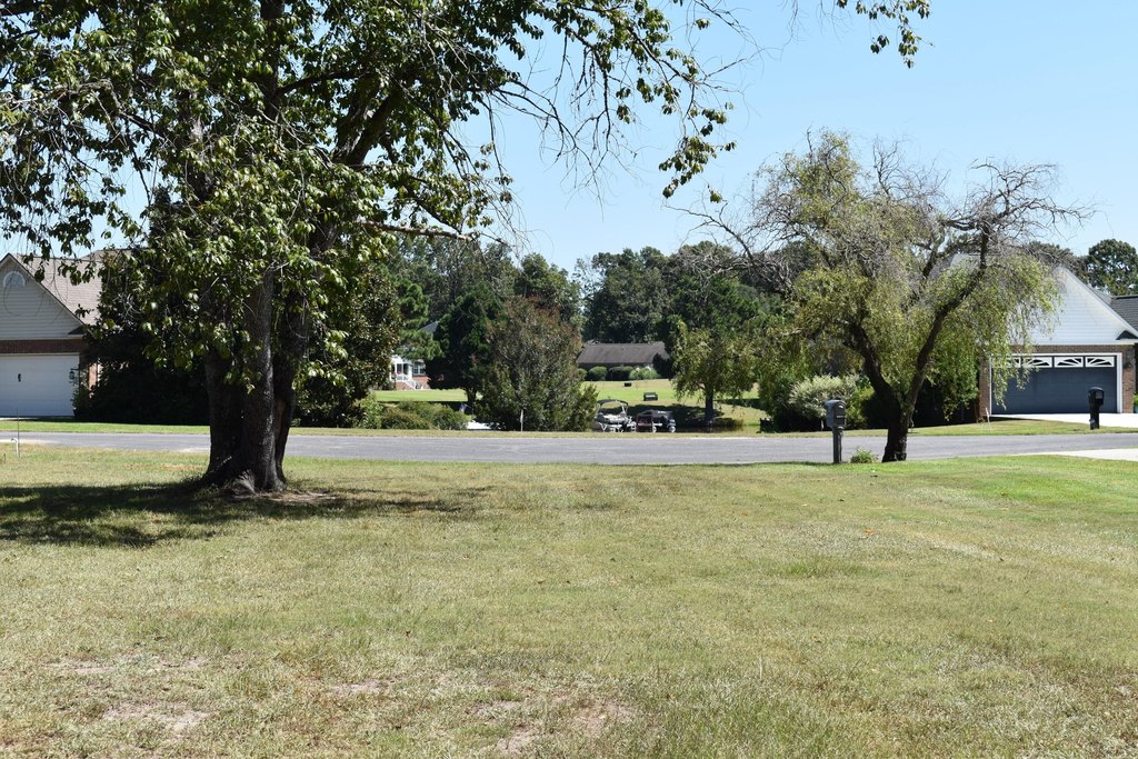 Picture 4