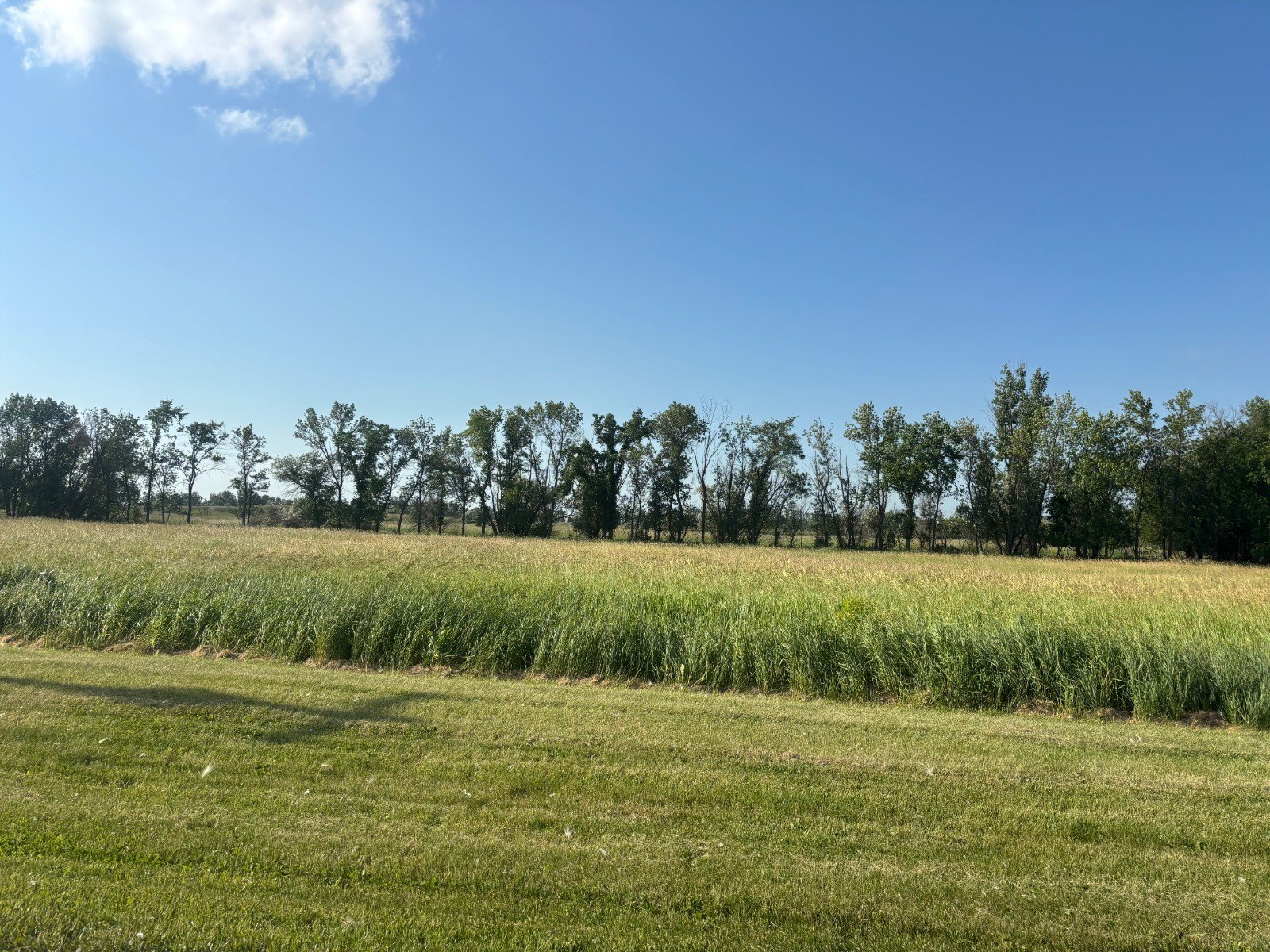 New Rockford Vacant Land Opportunity