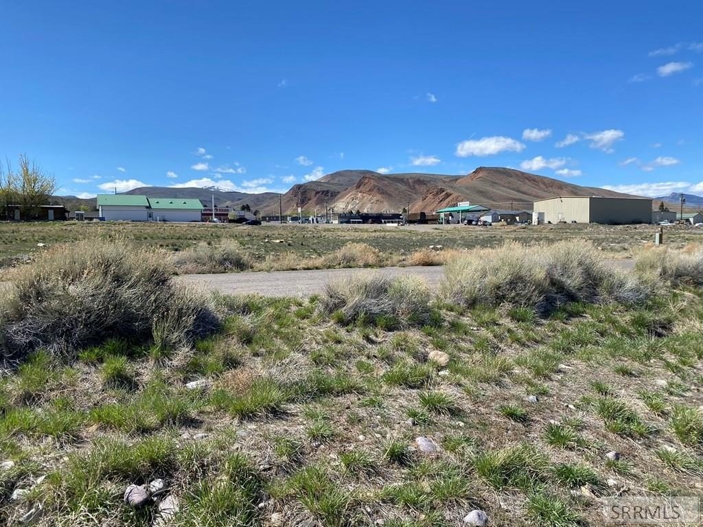 Picture 3