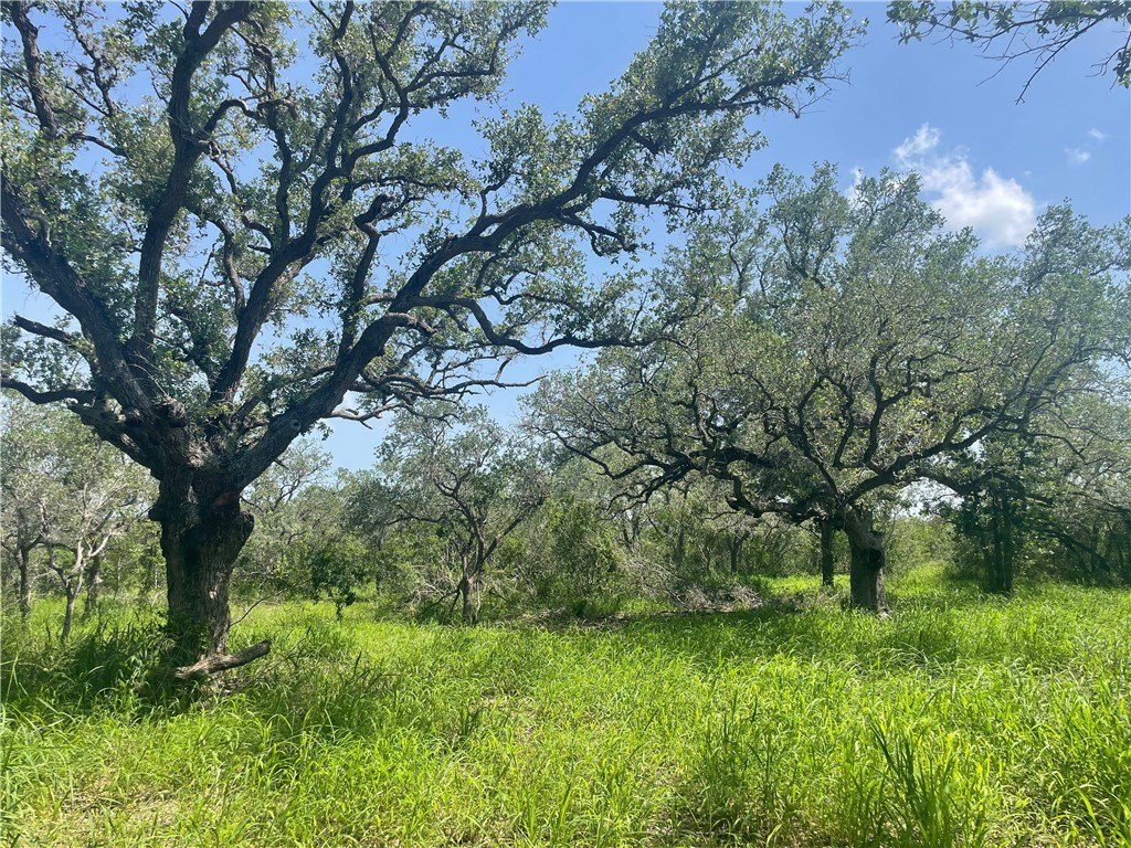 Picture 12