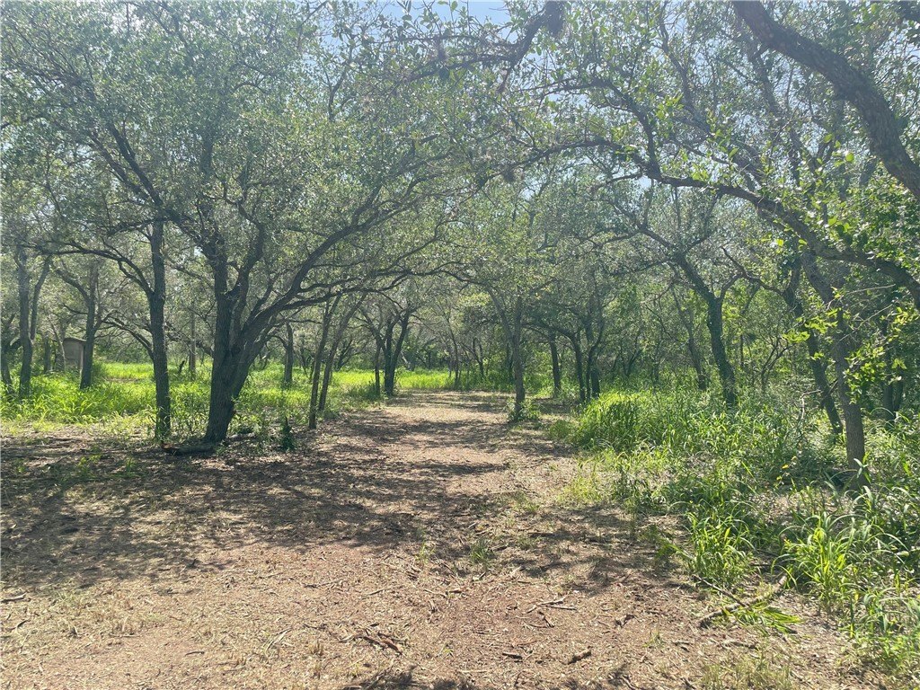 Picture 6