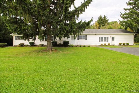Treed-Lot Duplex