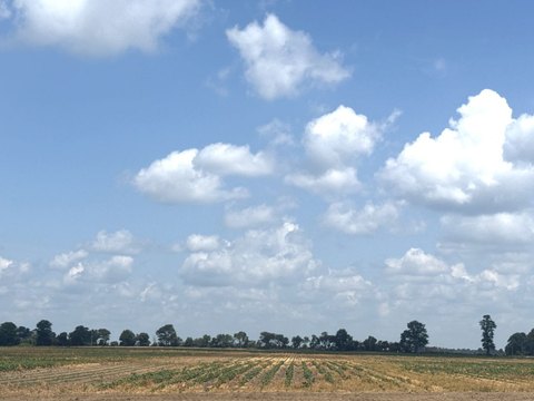 Row Crop Farm Land