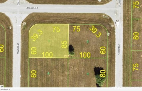 Cleared Homesite in Rotonda Meadows