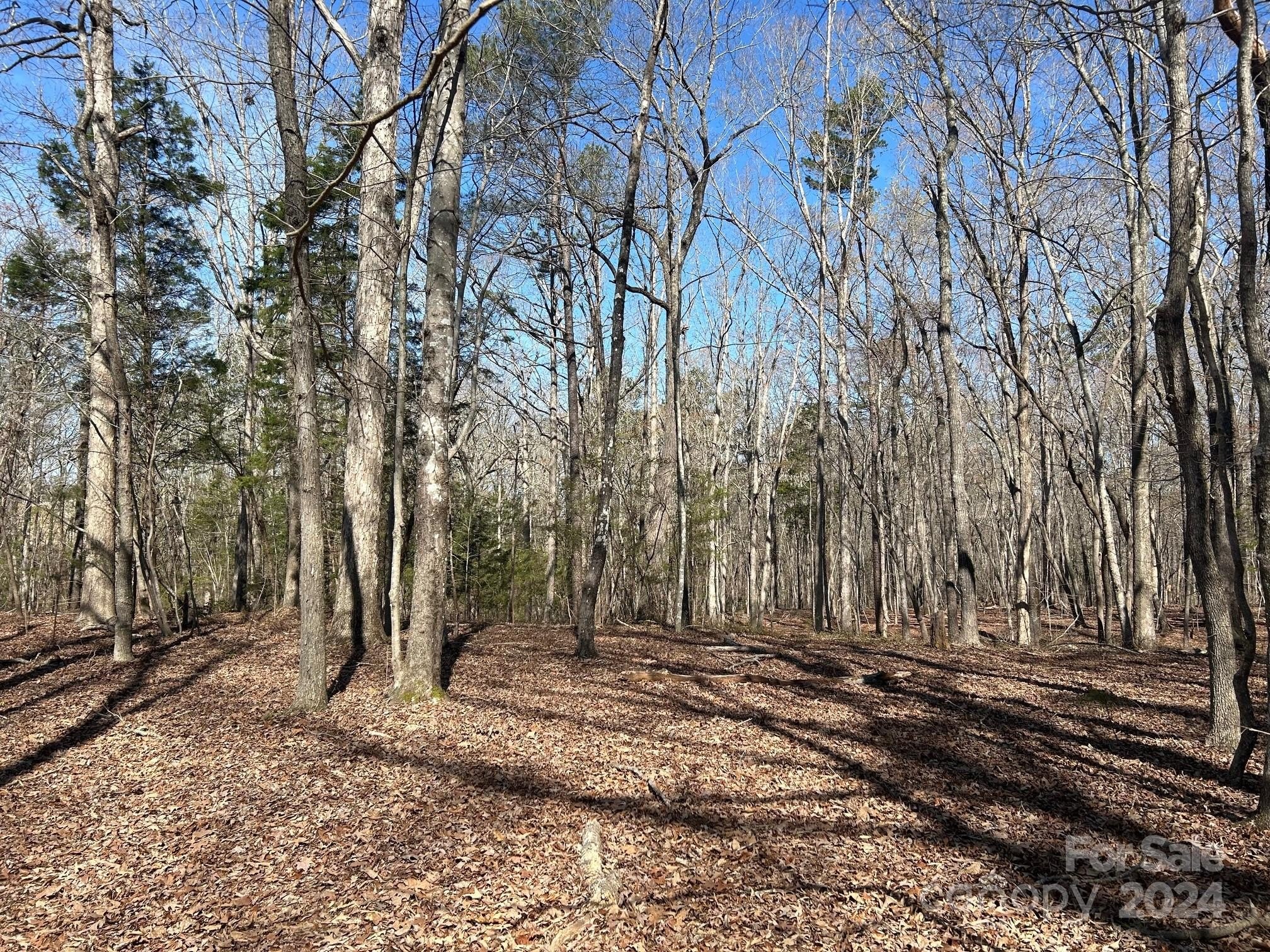 4-Acre Wooded Lot in Indian Land