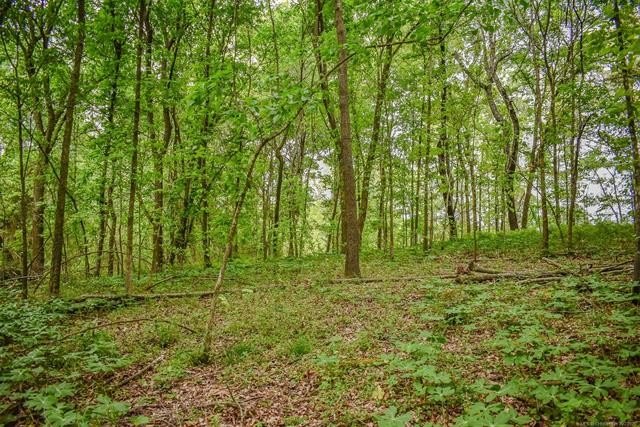Land with Wooded Scenery