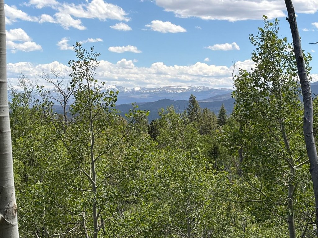 Picture 25