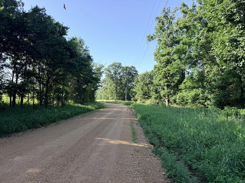 Picture 17