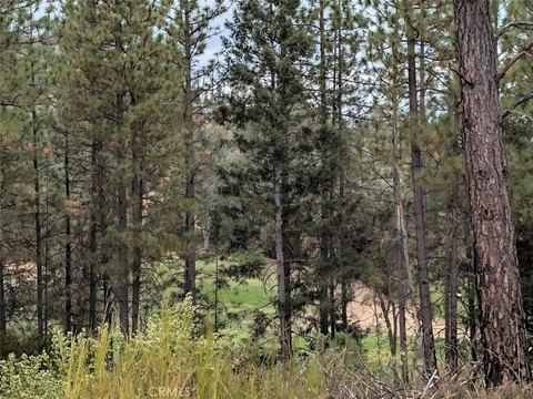 Land, Cobb, CA
