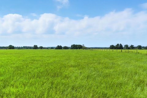20 Acres of Pasture Land