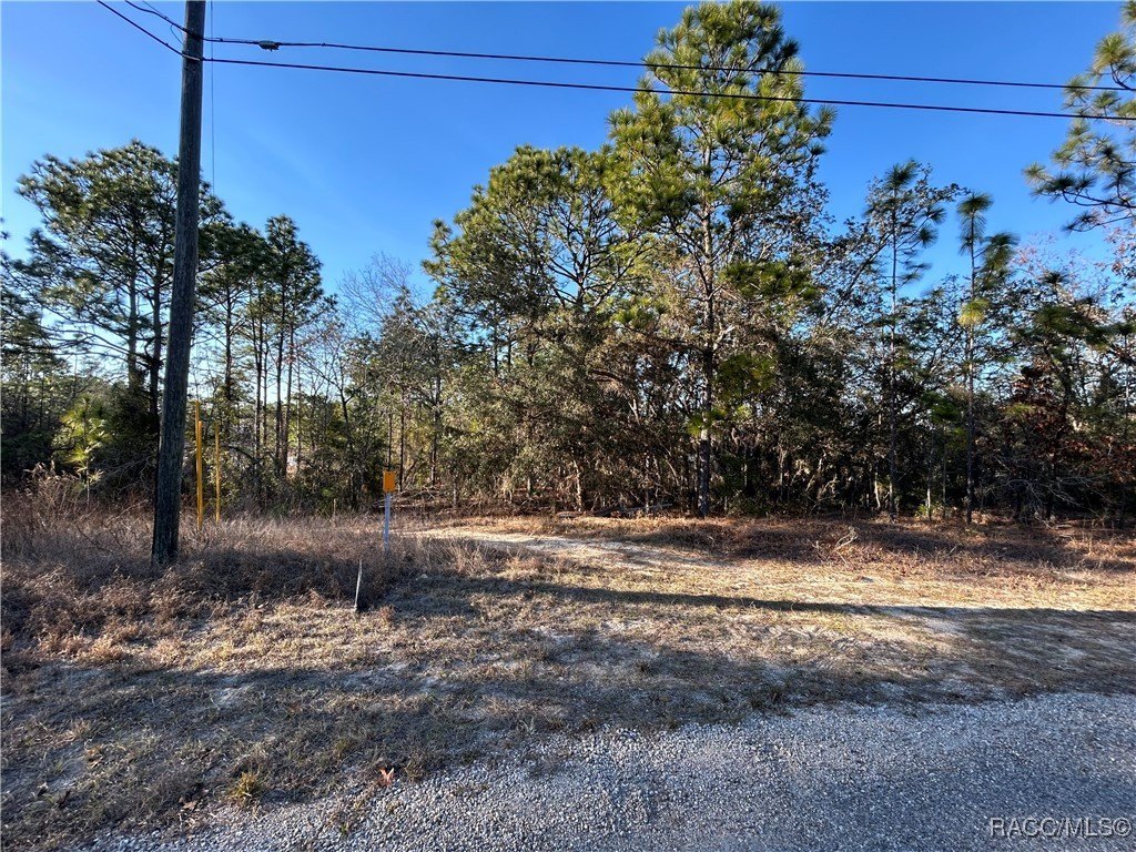 Residential Lot in Citrus Springs