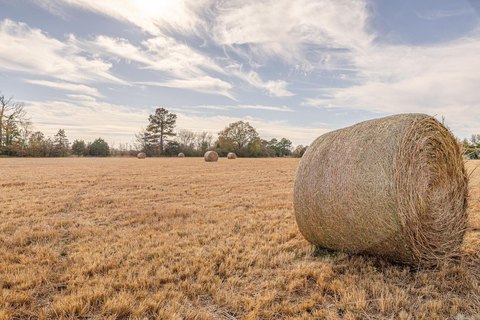 Development Land in Jonesboro, AR