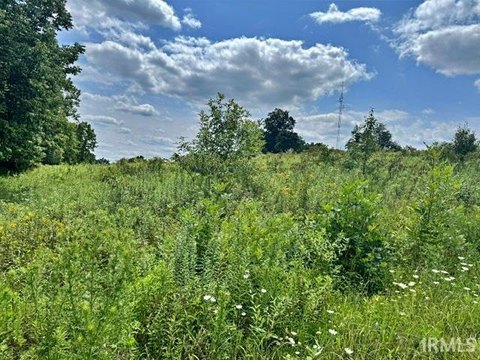 LOTS AND LAND, Celestine, IN