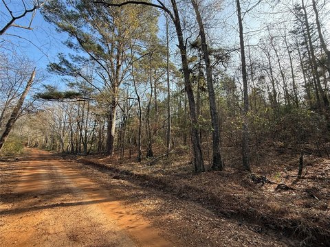 Unimproved Land in Cass County