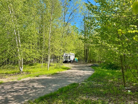 Wooded Land Near Crandon, WI