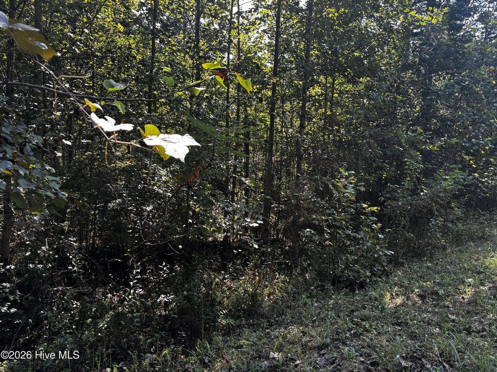 Picture 3