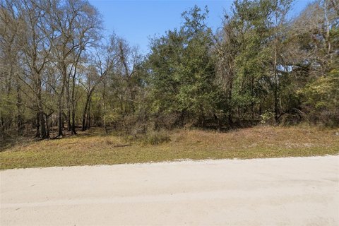 LAND - WEBSTER, FL