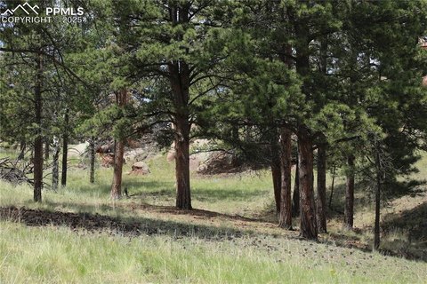 Buildable Land with Mountain Views