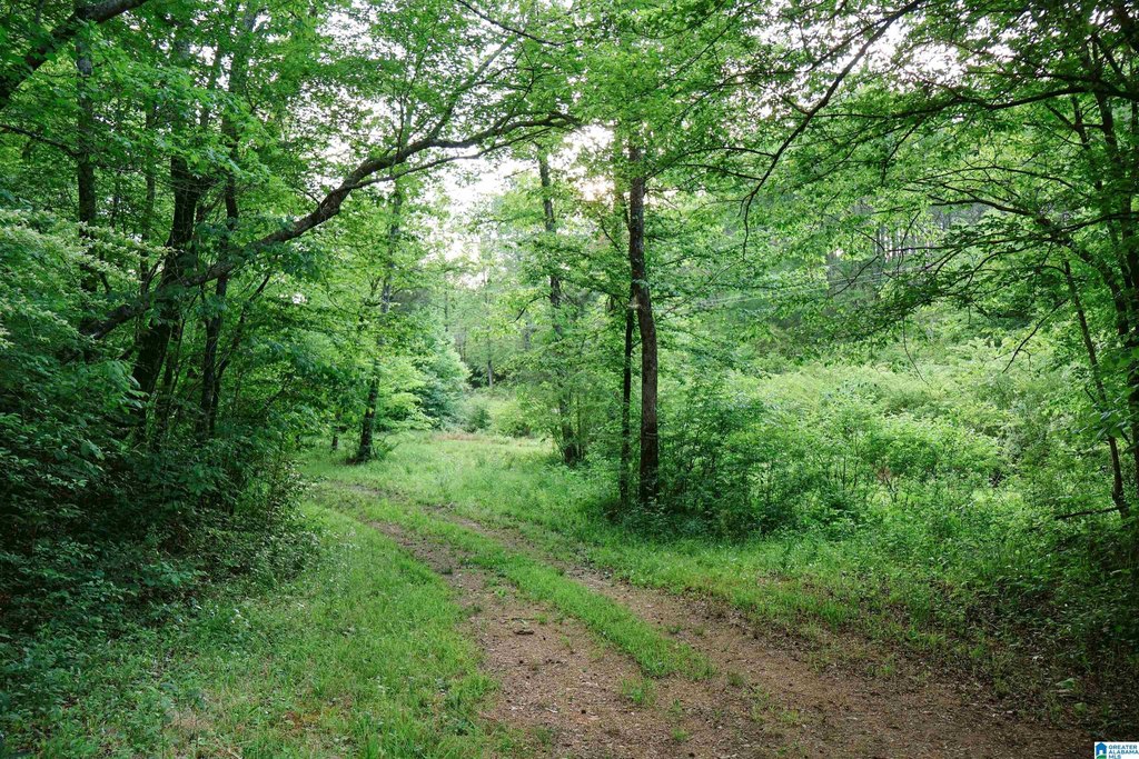 Picture 68