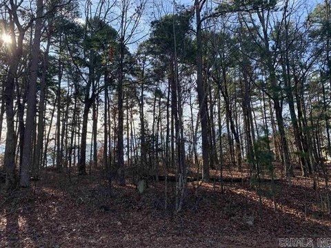 Vacant Land, Hot Springs Village, AR