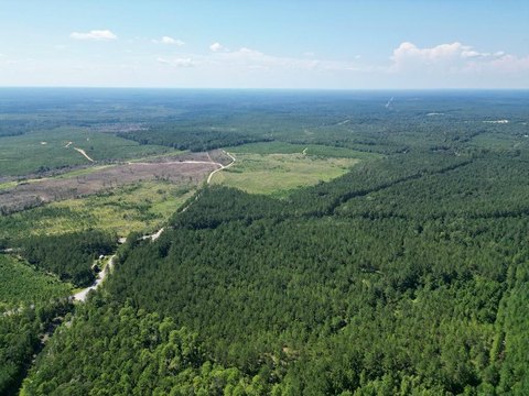 23 Acres Wooded Land Parcel