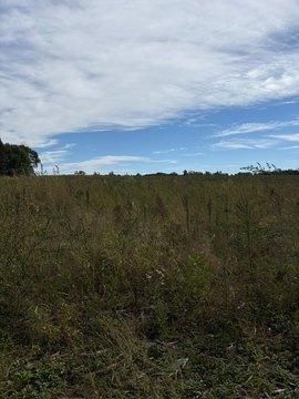 Land, Harris, MN