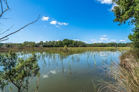 Land, Wadmalaw Island, SC