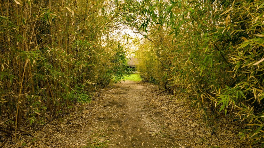 Picture 6