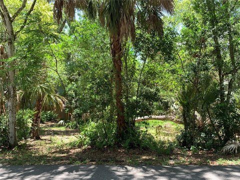 Land, TARPON SPRINGS, FL