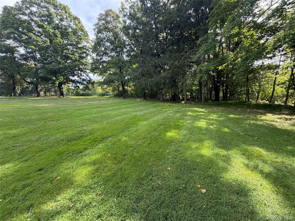 Picture 23
