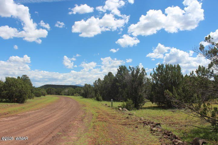 Heavily Treed Land with Views
