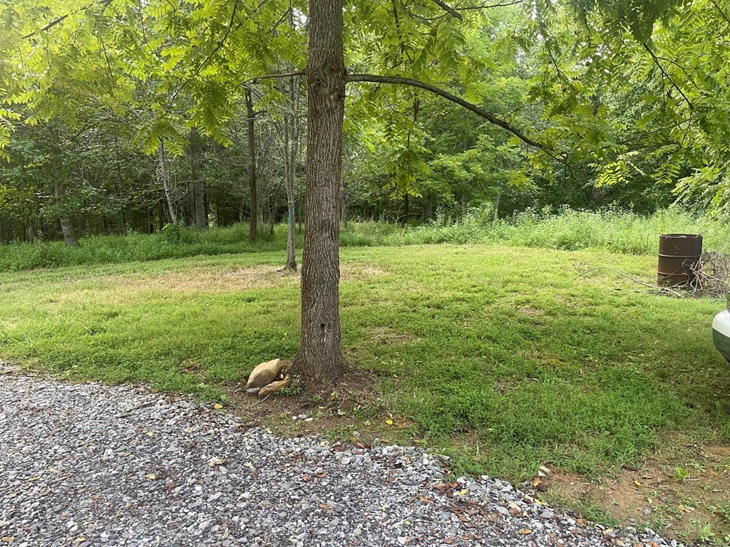 Picture 4