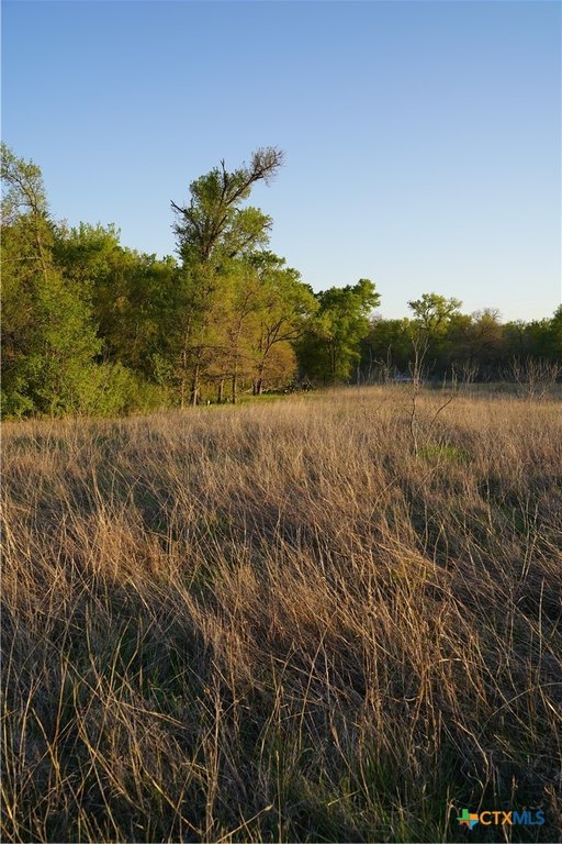 Picture 14