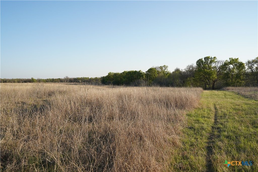 Picture 13