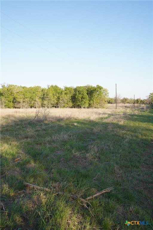 Picture 10