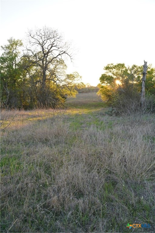 Picture 11