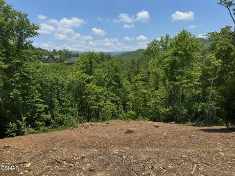 LAND - Sevierville, TN