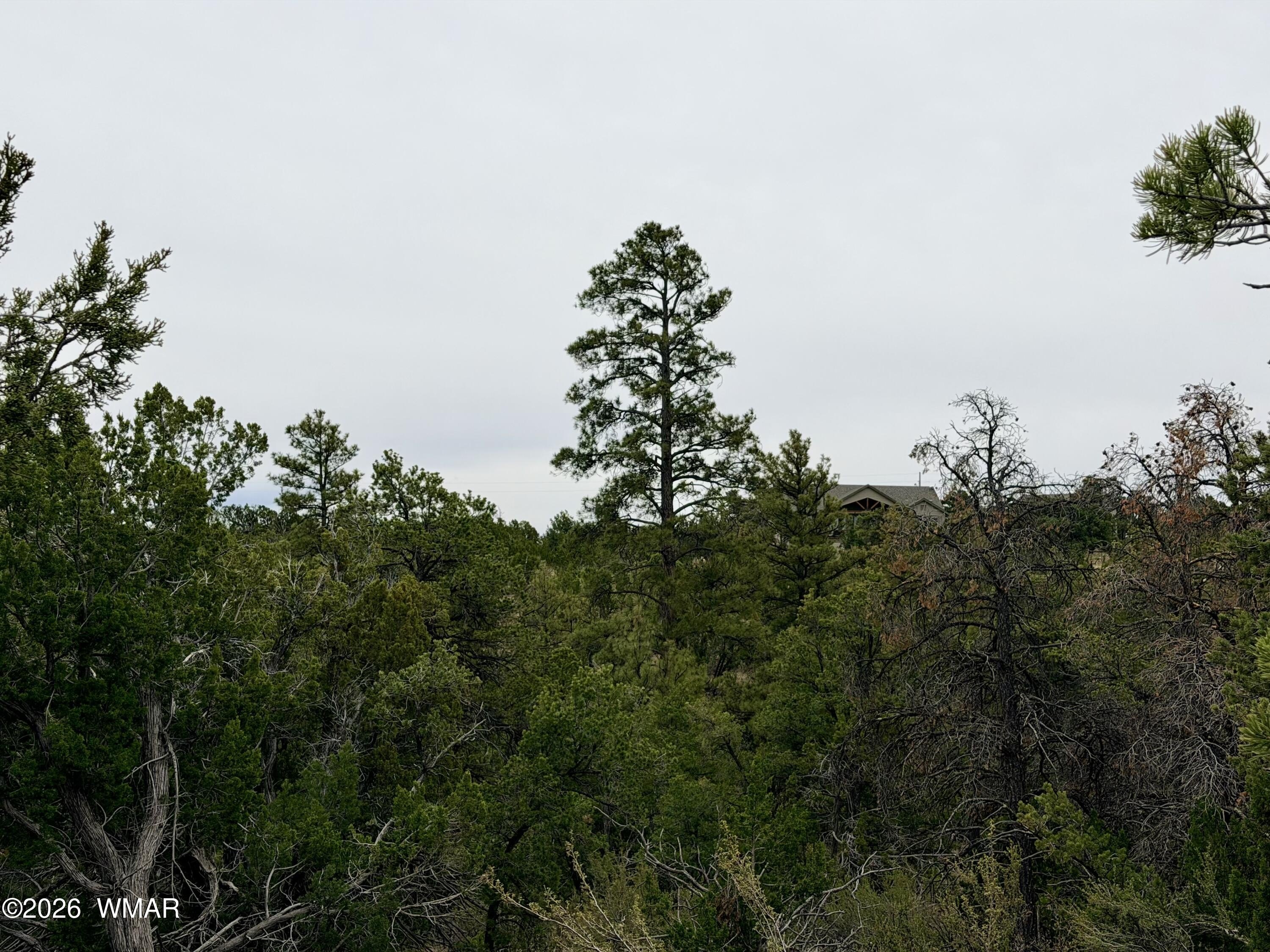 Expansive Land Parcel in Happy Jack