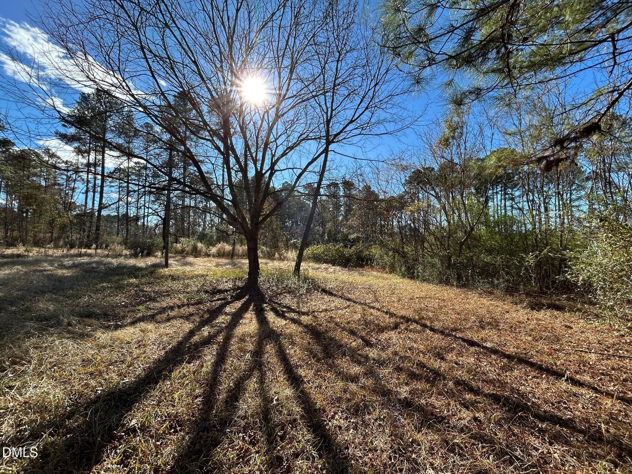 Moncure Land Near Innovation Point