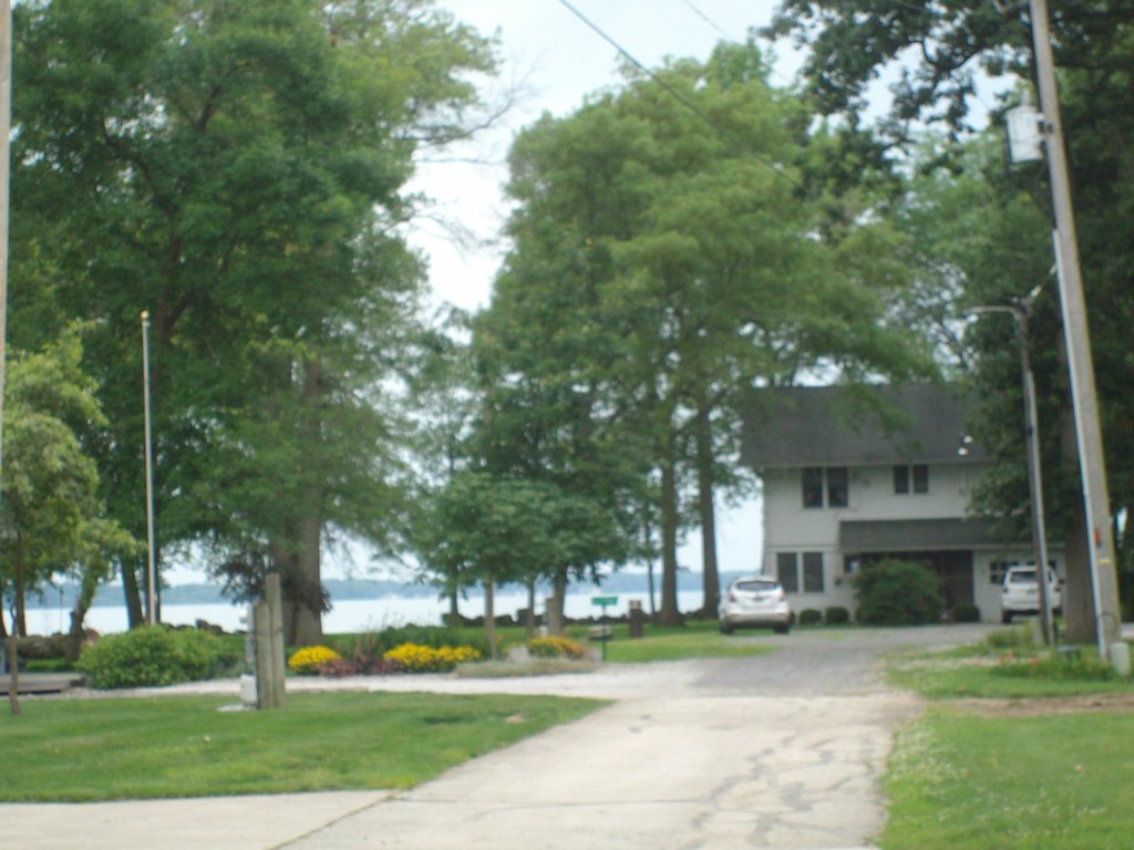 Picture 6