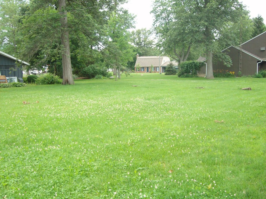 Picture 4